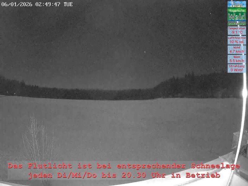 Archiv Foto Webcam Naturpark Oberer Bayerischer Wald - Infopunkt Althütte