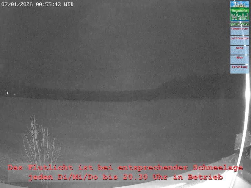 Archiv Foto Webcam Naturpark Oberer Bayerischer Wald - Infopunkt Althütte