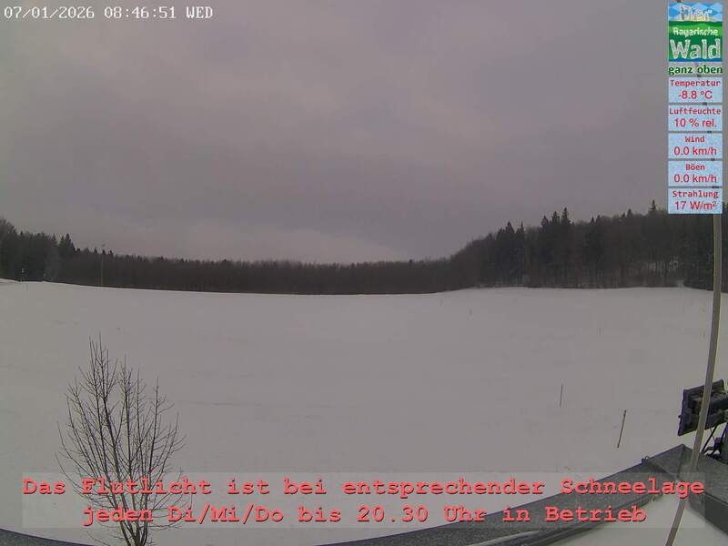 Archiv Foto Webcam Naturpark Oberer Bayerischer Wald - Infopunkt Althütte