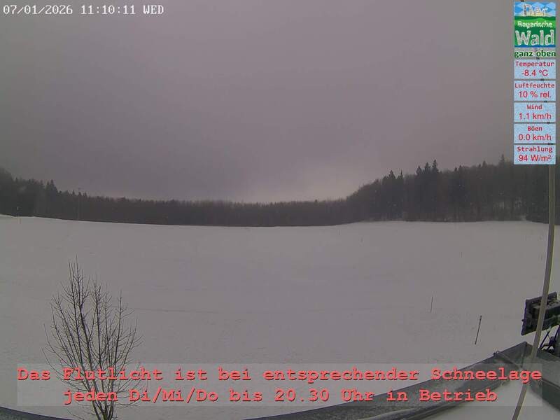 Archiv Foto Webcam Naturpark Oberer Bayerischer Wald - Infopunkt Althütte