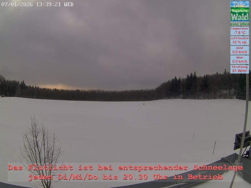 Archiv Foto Webcam Naturpark Oberer Bayerischer Wald - Infopunkt Althütte