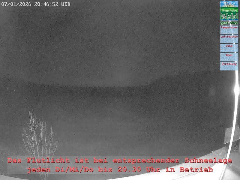 Archiv Foto Webcam Naturpark Oberer Bayerischer Wald - Infopunkt Althütte