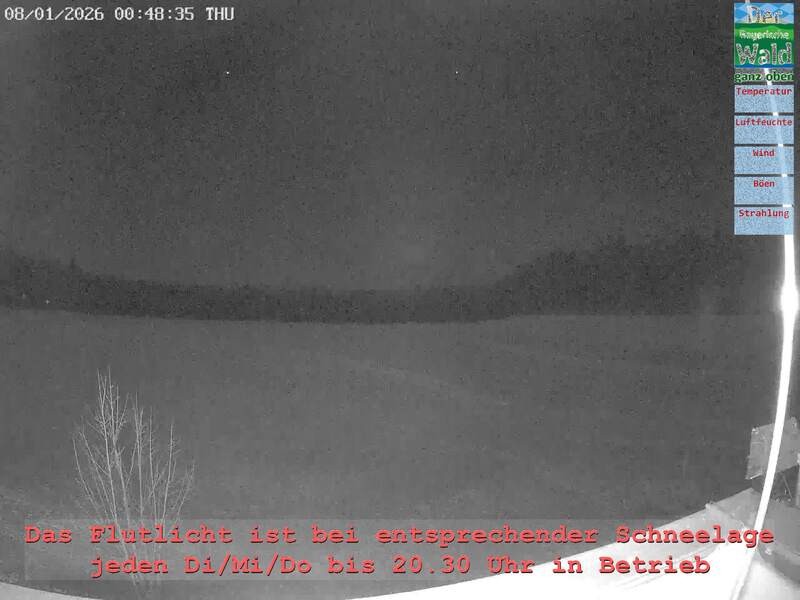 Archiv Foto Webcam Naturpark Oberer Bayerischer Wald - Infopunkt Althütte