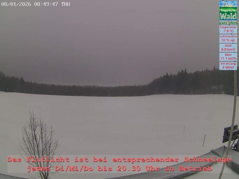 Archiv Foto Webcam Naturpark Oberer Bayerischer Wald - Infopunkt Althütte