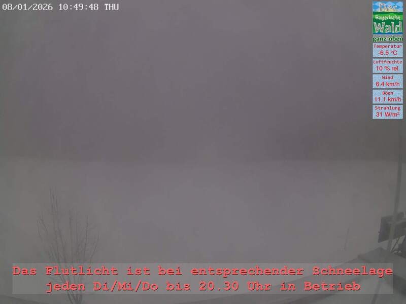 Archiv Foto Webcam Naturpark Oberer Bayerischer Wald - Infopunkt Althütte