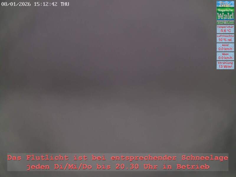 Archiv Foto Webcam Naturpark Oberer Bayerischer Wald - Infopunkt Althütte