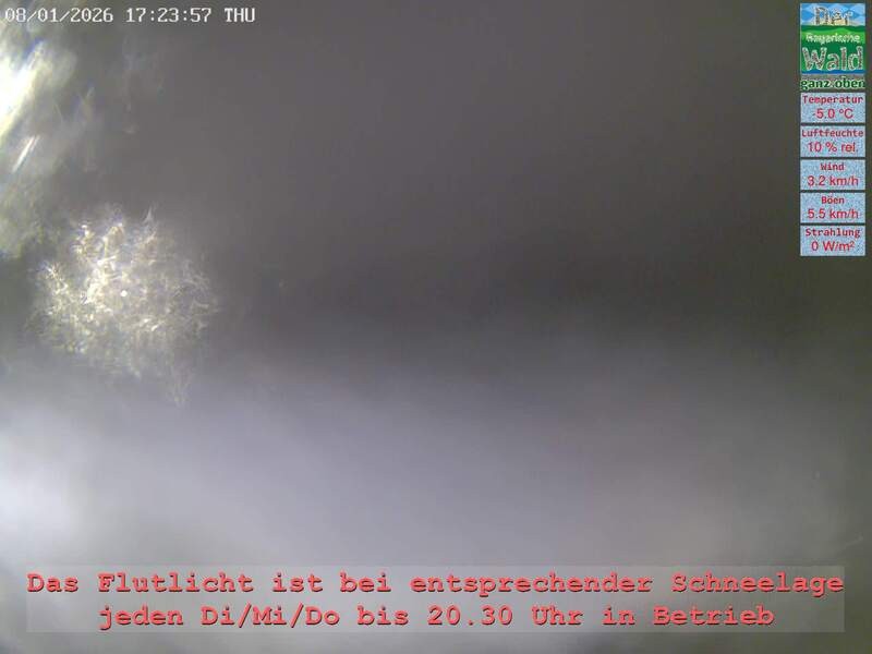 Archiv Foto Webcam Naturpark Oberer Bayerischer Wald - Infopunkt Althütte