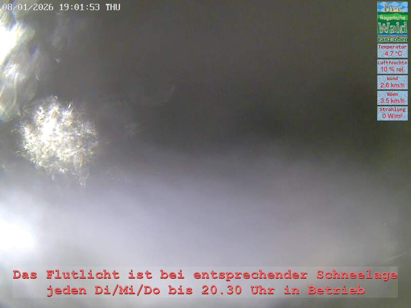 Archiv Foto Webcam Naturpark Oberer Bayerischer Wald - Infopunkt Althütte