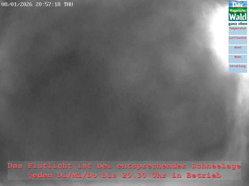 Archiv Foto Webcam Naturpark Oberer Bayerischer Wald - Infopunkt Althütte