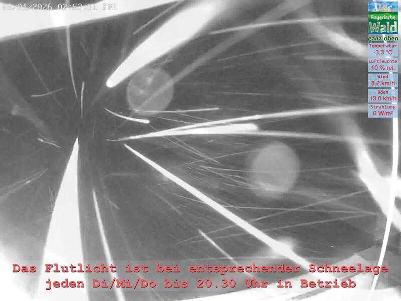 Archiv Foto Webcam Naturpark Oberer Bayerischer Wald - Infopunkt Althütte