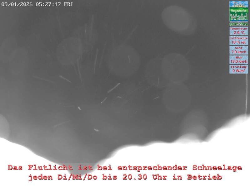Archiv Foto Webcam Naturpark Oberer Bayerischer Wald - Infopunkt Althütte