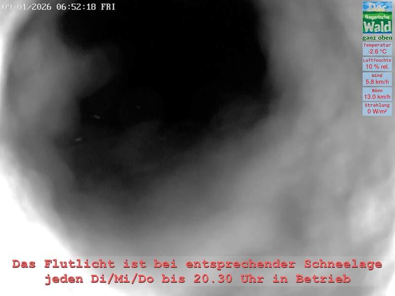 Archiv Foto Webcam Naturpark Oberer Bayerischer Wald - Infopunkt Althütte