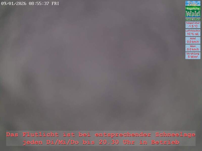 Archiv Foto Webcam Naturpark Oberer Bayerischer Wald - Infopunkt Althütte