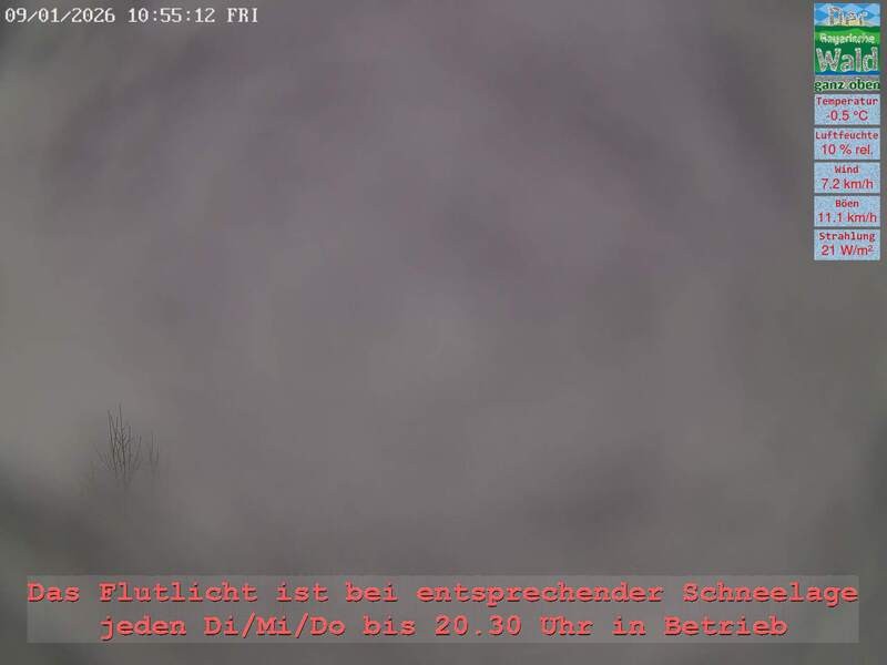 Archiv Foto Webcam Naturpark Oberer Bayerischer Wald - Infopunkt Althütte