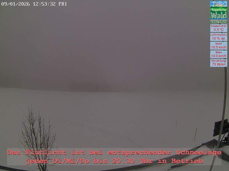 Archiv Foto Webcam Naturpark Oberer Bayerischer Wald - Infopunkt Althütte