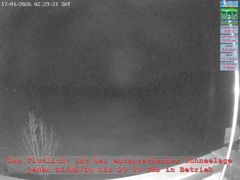 Archiv Foto Webcam Naturpark Oberer Bayerischer Wald - Infopunkt Althütte