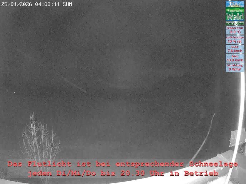 Archiv Foto Webcam Naturpark Oberer Bayerischer Wald - Infopunkt Althütte