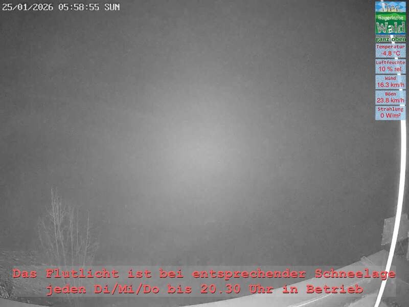 Archiv Foto Webcam Naturpark Oberer Bayerischer Wald - Infopunkt Althütte