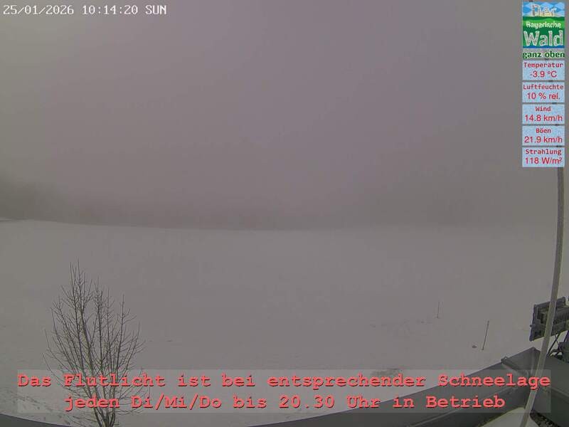 Archiv Foto Webcam Naturpark Oberer Bayerischer Wald - Infopunkt Althütte