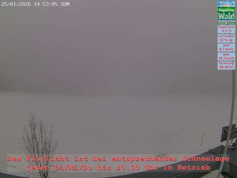 Archiv Foto Webcam Naturpark Oberer Bayerischer Wald - Infopunkt Althütte