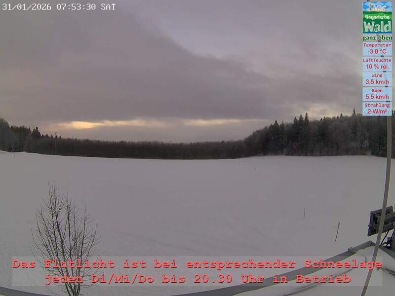 Archiv Foto Webcam Naturpark Oberer Bayerischer Wald - Infopunkt Althütte