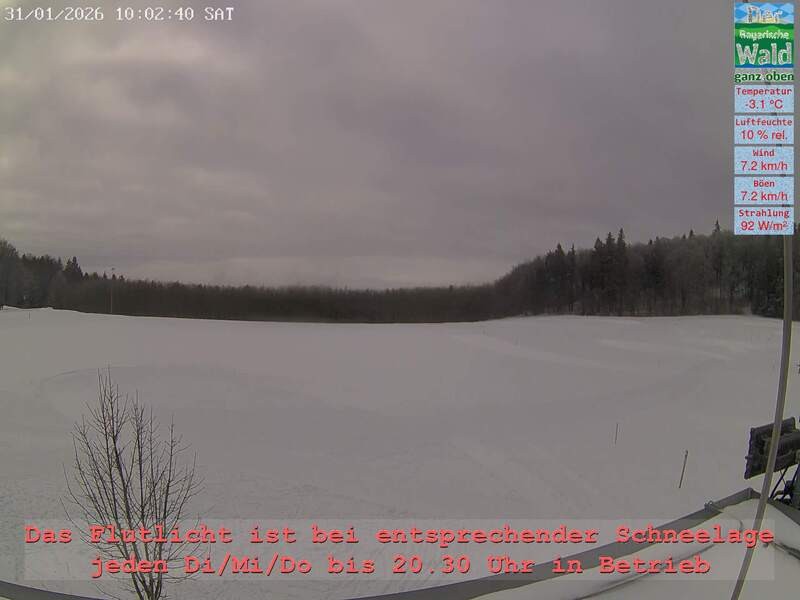 Archiv Foto Webcam Naturpark Oberer Bayerischer Wald - Infopunkt Althütte