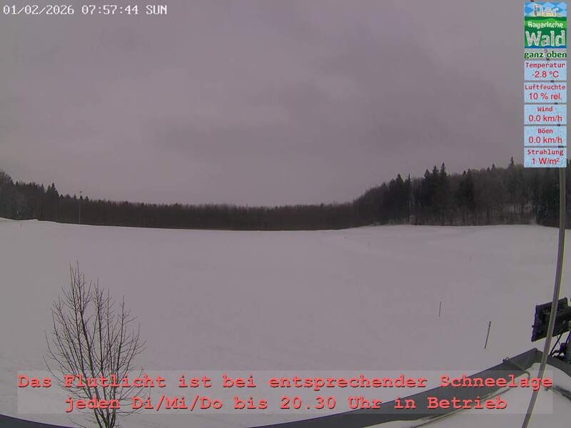 Archiv Foto Webcam Naturpark Oberer Bayerischer Wald - Infopunkt Althütte