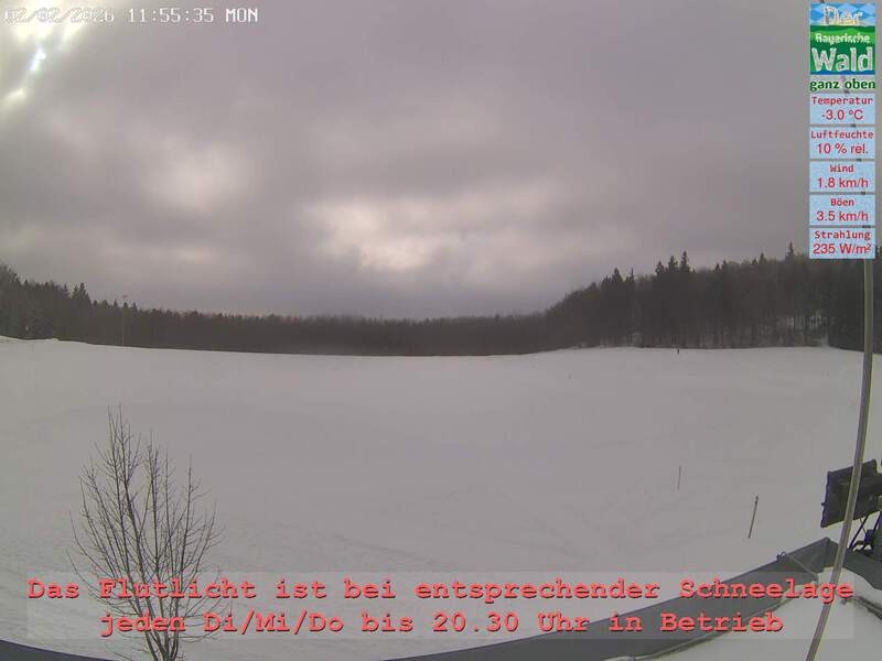 Archiv Foto Webcam Naturpark Oberer Bayerischer Wald - Infopunkt Althütte