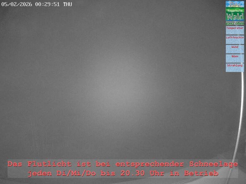 Archiv Foto Webcam Naturpark Oberer Bayerischer Wald - Infopunkt Althütte
