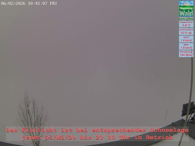 Archiv Foto Webcam Naturpark Oberer Bayerischer Wald - Infopunkt Althütte