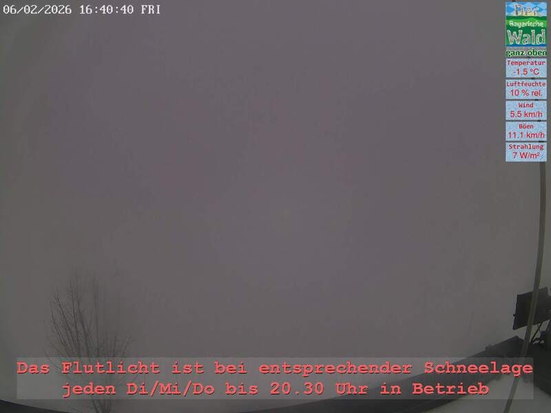 Archiv Foto Webcam Naturpark Oberer Bayerischer Wald - Infopunkt Althütte