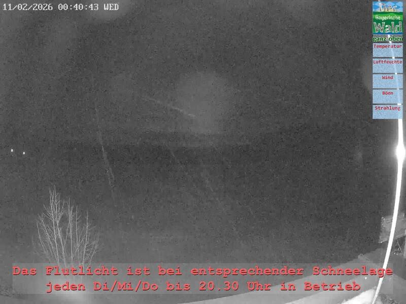 Archiv Foto Webcam Naturpark Oberer Bayerischer Wald - Infopunkt Althütte