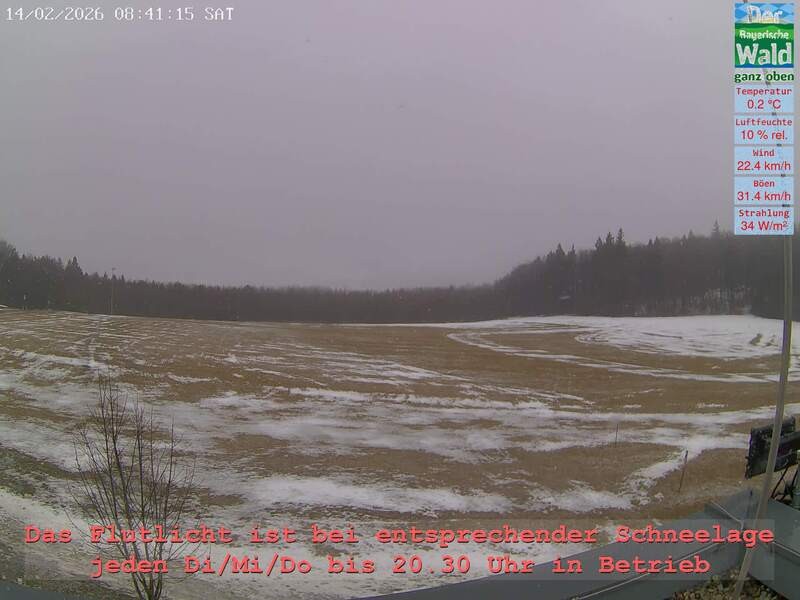 Archiv Foto Webcam Naturpark Oberer Bayerischer Wald - Infopunkt Althütte