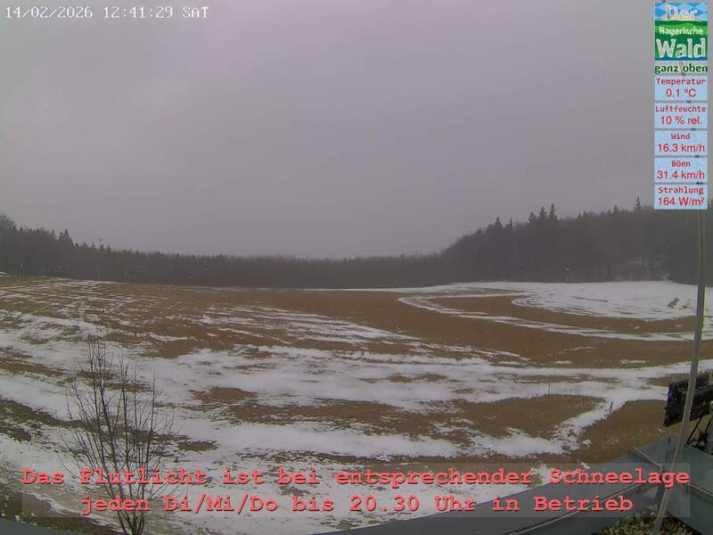 Archiv Foto Webcam Naturpark Oberer Bayerischer Wald - Infopunkt Althütte