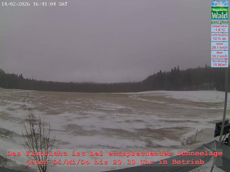 Archiv Foto Webcam Naturpark Oberer Bayerischer Wald - Infopunkt Althütte