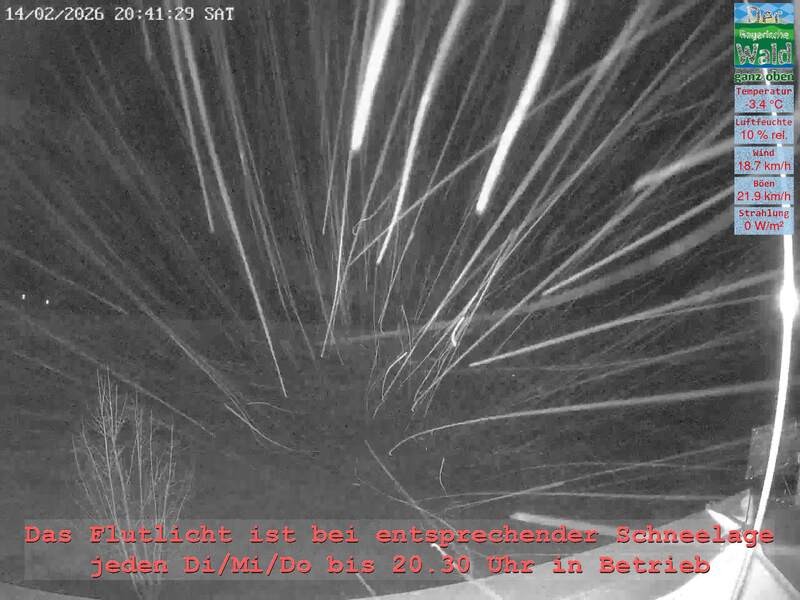 Archiv Foto Webcam Naturpark Oberer Bayerischer Wald - Infopunkt Althütte