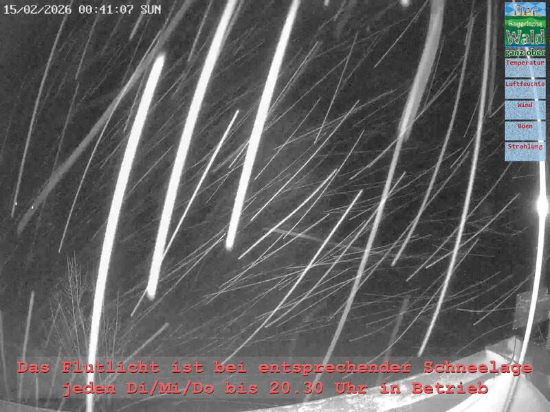 Archiv Foto Webcam Naturpark Oberer Bayerischer Wald - Infopunkt Althütte