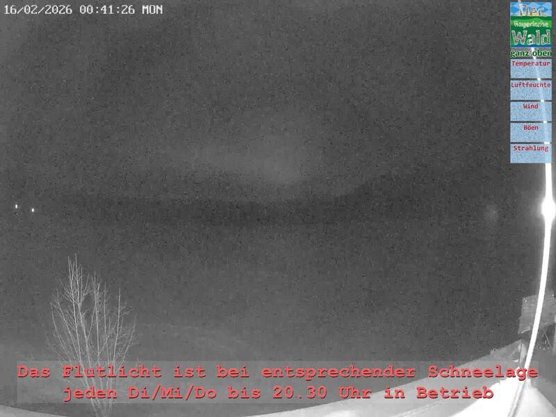 Archiv Foto Webcam Naturpark Oberer Bayerischer Wald - Infopunkt Althütte