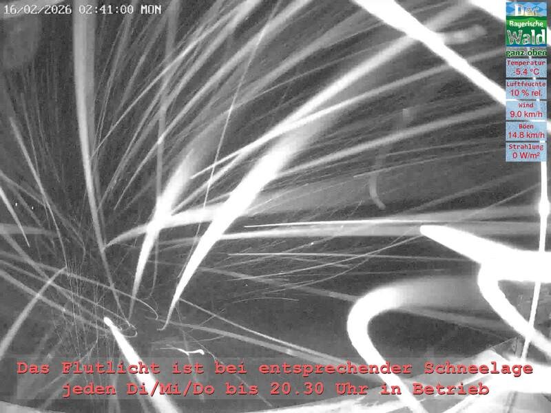 Archiv Foto Webcam Naturpark Oberer Bayerischer Wald - Infopunkt Althütte