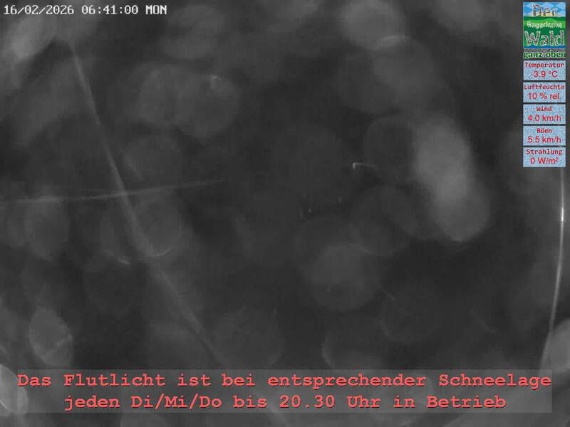 Archiv Foto Webcam Naturpark Oberer Bayerischer Wald - Infopunkt Althütte