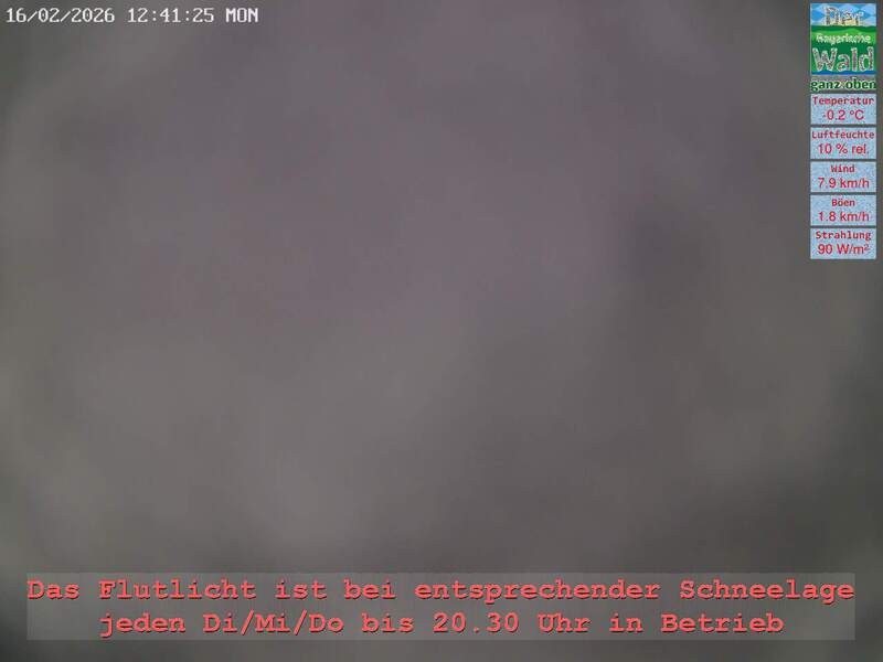 Archiv Foto Webcam Naturpark Oberer Bayerischer Wald - Infopunkt Althütte