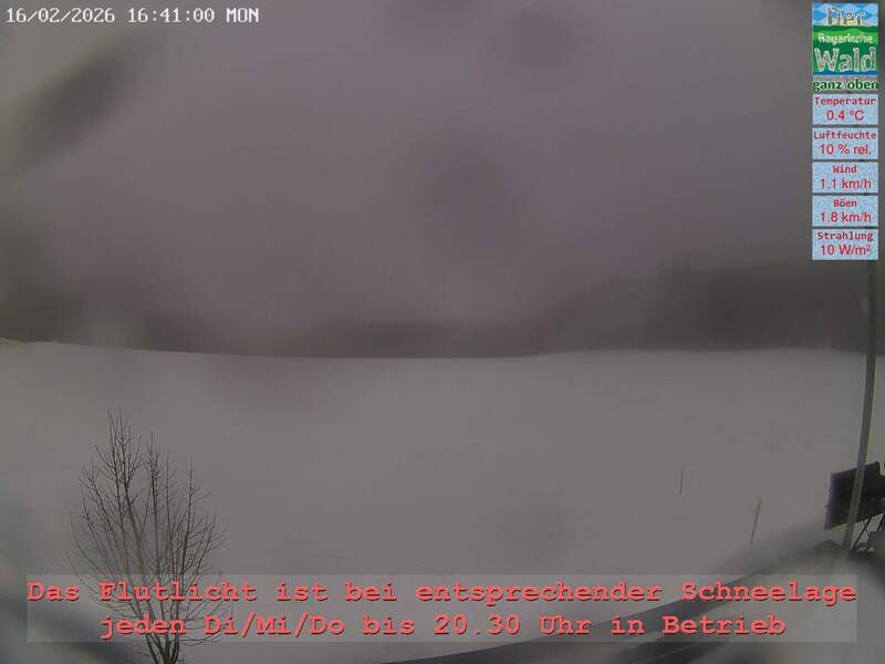 Archiv Foto Webcam Naturpark Oberer Bayerischer Wald - Infopunkt Althütte