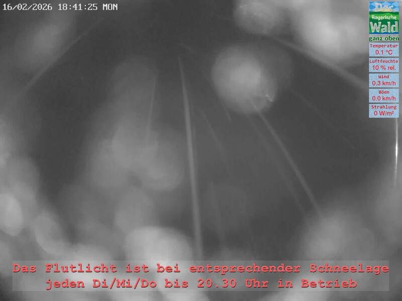 Archiv Foto Webcam Naturpark Oberer Bayerischer Wald - Infopunkt Althütte