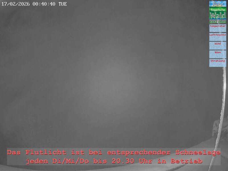 Archiv Foto Webcam Naturpark Oberer Bayerischer Wald - Infopunkt Althütte