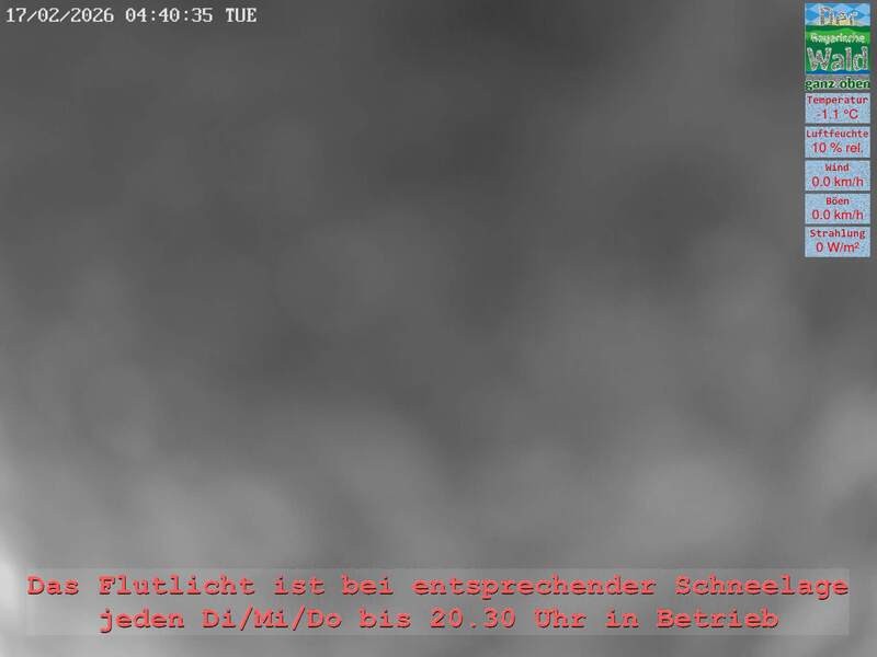 Archiv Foto Webcam Naturpark Oberer Bayerischer Wald - Infopunkt Althütte