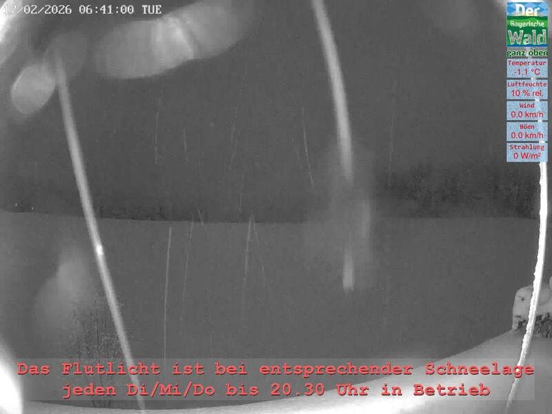 Archiv Foto Webcam Naturpark Oberer Bayerischer Wald - Infopunkt Althütte