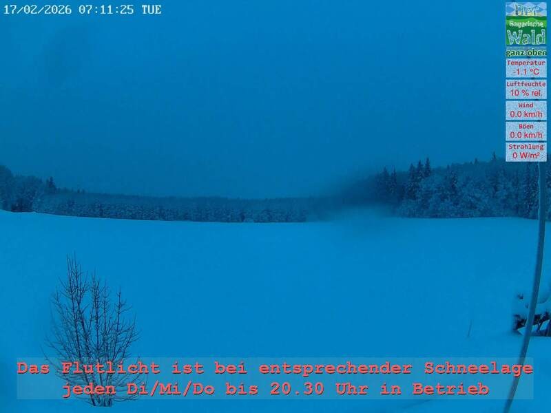 Archiv Foto Webcam Naturpark Oberer Bayerischer Wald - Infopunkt Althütte