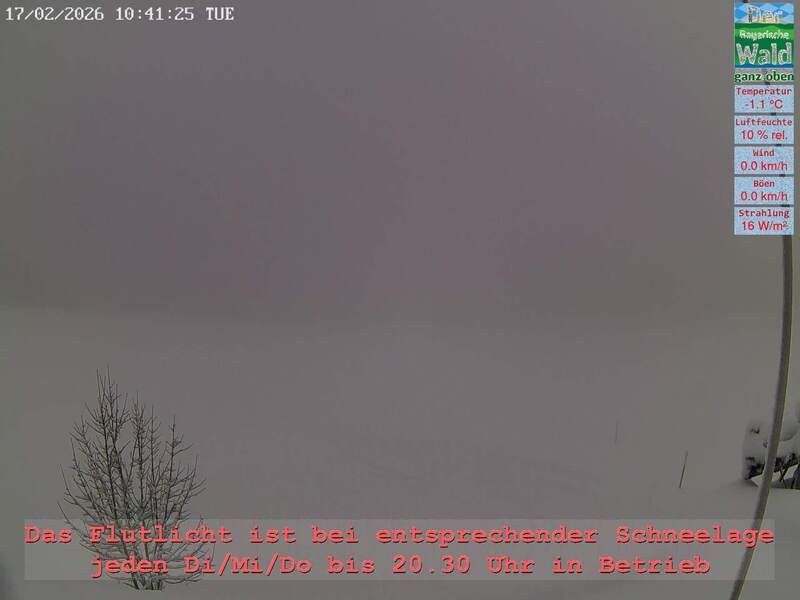 Archiv Foto Webcam Naturpark Oberer Bayerischer Wald - Infopunkt Althütte