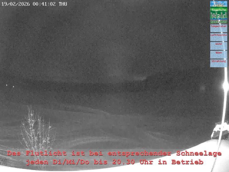 Archiv Foto Webcam Naturpark Oberer Bayerischer Wald - Infopunkt Althütte