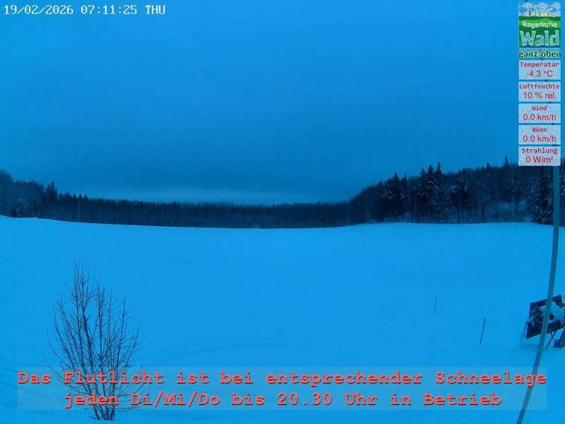 Archiv Foto Webcam Naturpark Oberer Bayerischer Wald - Infopunkt Althütte